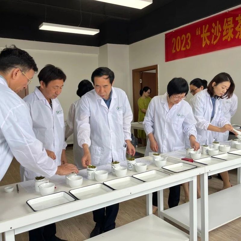有关于2023年“长沙绿茶”名优茶品质评价圆满完成！的相关信息(10)