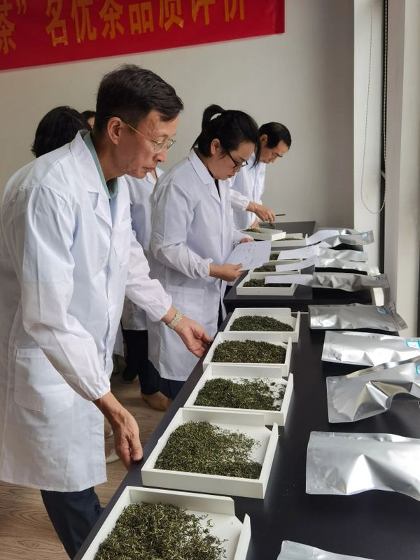 有关于2023年“长沙绿茶”名优茶品质评价圆满完成！的相关信息(2)