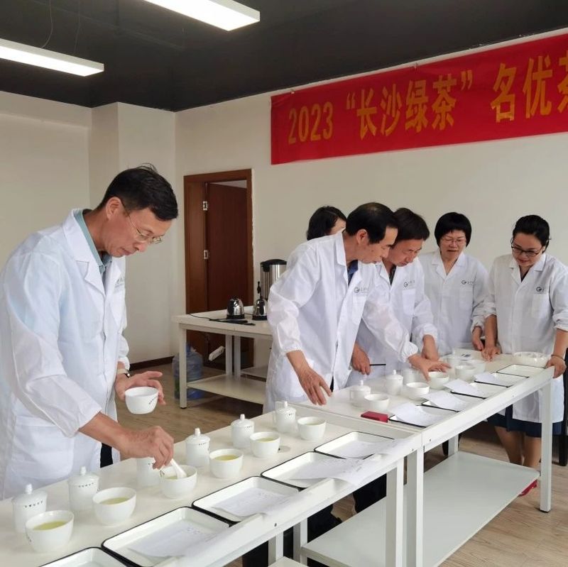 有关于2023年“长沙绿茶”名优茶品质评价圆满完成！的相关信息(8)