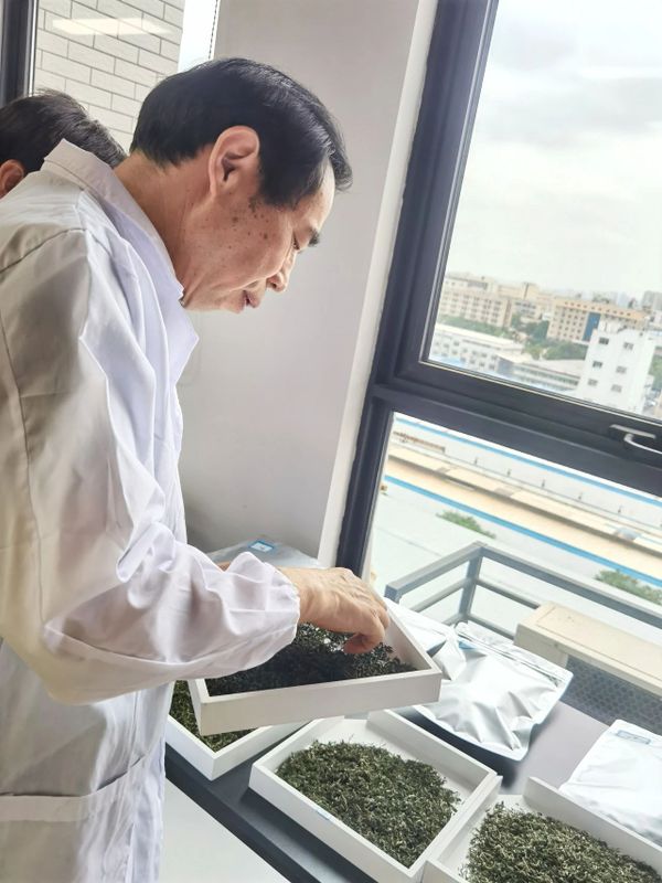 有关于2023年“长沙绿茶”名优茶品质评价圆满完成！的相关信息(14)