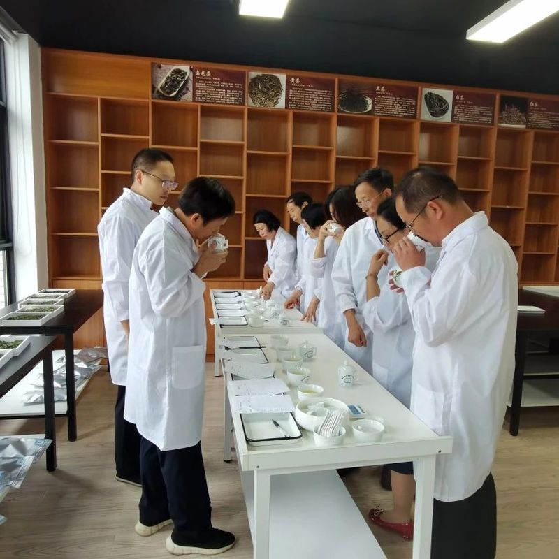 有关于2023年“长沙绿茶”名优茶品质评价圆满完成！的相关信息(13)