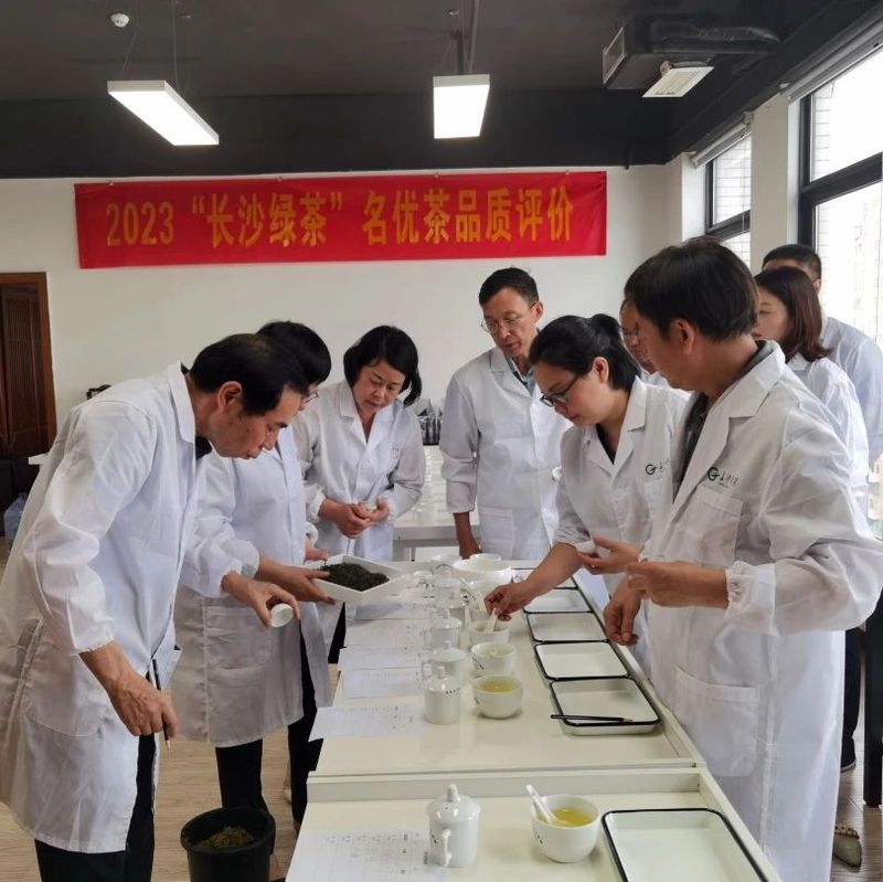 有关于2023年“长沙绿茶”名优茶品质评价圆满完成！的相关信息(7)