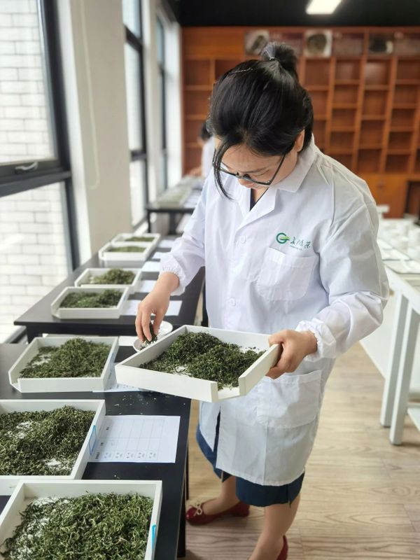 有关于2023年“长沙绿茶”名优茶品质评价圆满完成！的相关信息(5)