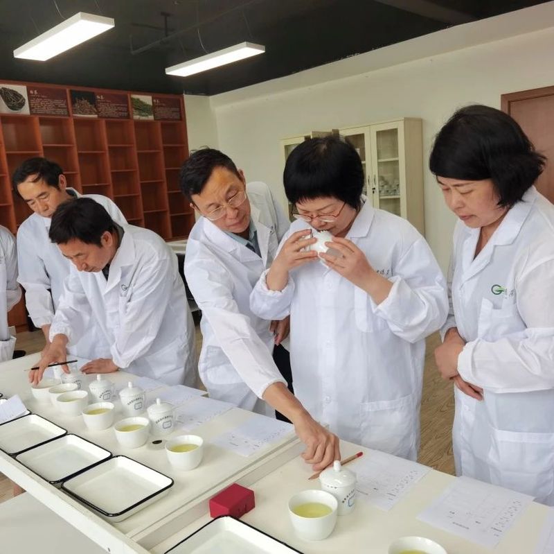 有关于2023年“长沙绿茶”名优茶品质评价圆满完成！的相关信息(9)