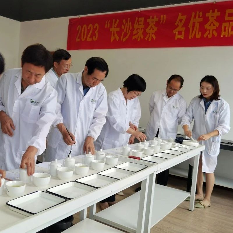 有关于2023年“长沙绿茶”名优茶品质评价圆满完成！的相关信息(6)