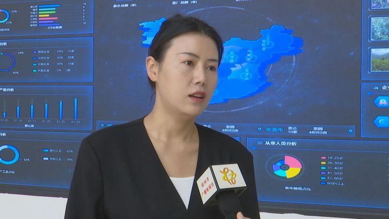 关于为六堡茶产品贴上“身份证” 六堡茶数字化交易平台即将上线运行的资讯(2)