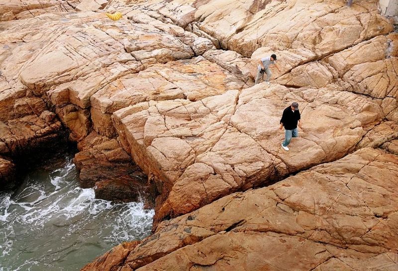 有关于电视剧名家就爱这里！“鼎”级白茶激发创作灵感～的相关内容(8)