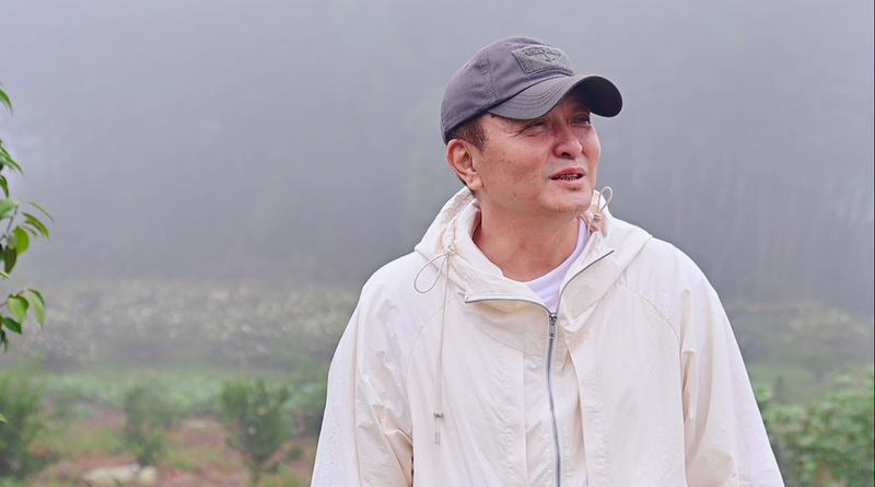 有关于电视剧名家就爱这里！“鼎”级白茶激发创作灵感～的相关内容(4)