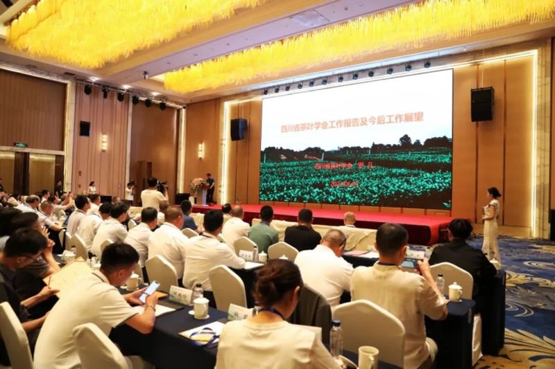 有关于2023年四川省茶业科技年会在翠屏区召开的新闻(5)