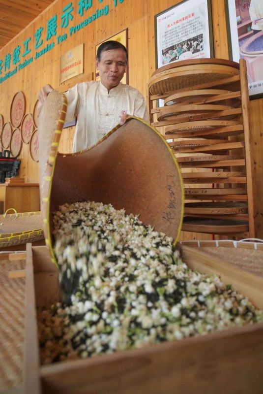 有关于有福之州，春伦带你感知福州茉莉花茶“双世遗”的独特魅力的相关信息(4)