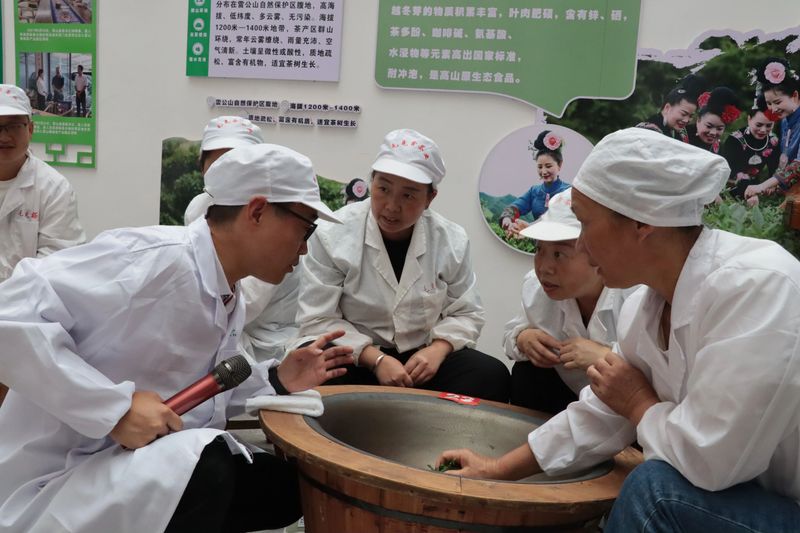 有关于雷山茶叶加工专项培训班走进车间 手把手传授高品质绿茶加工诀窍的新闻(8)