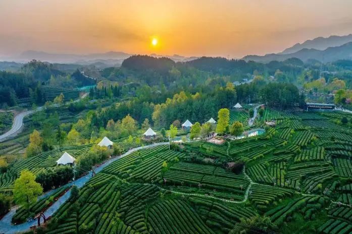 有关于陕西推介！汉中多个入选→的相关内容(4)