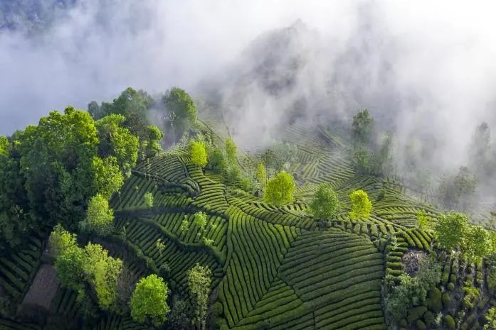 有关于陕西推介！汉中多个入选→的相关内容