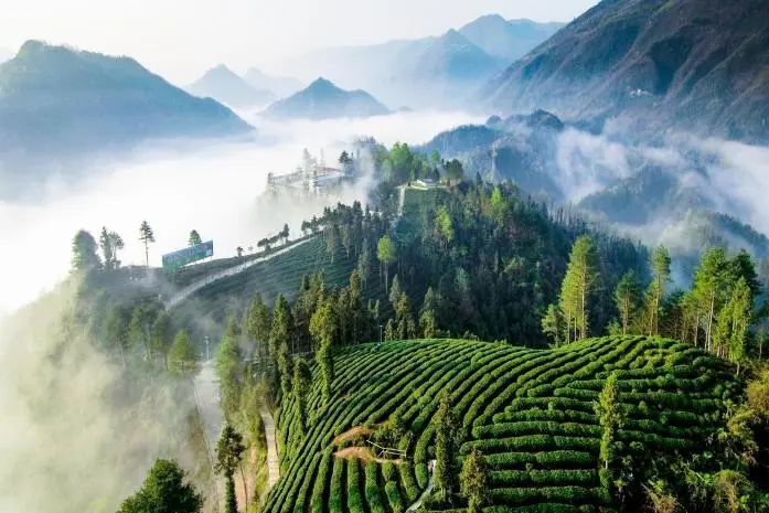 有关于陕西推介！汉中多个入选→的相关内容(2)