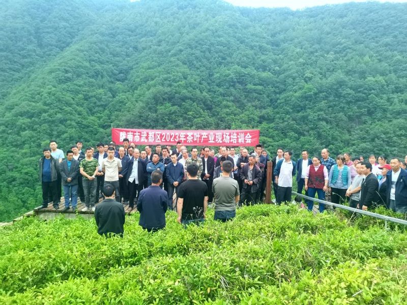 关于裕河镇召开茶叶产业现场培训会的新闻(1)