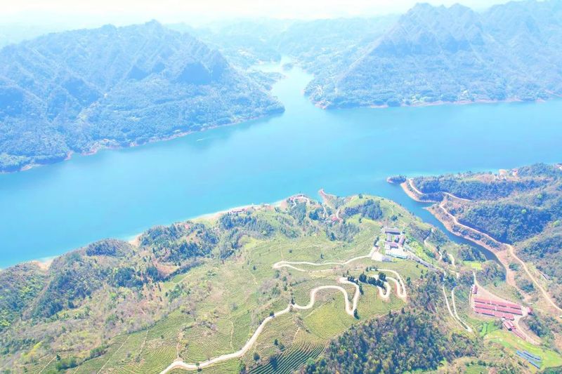 关于沅陵碣滩茶品牌专场推介会·相约2023北京国际茶业展的资讯