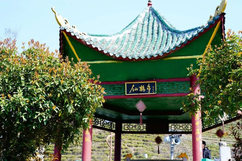 关于沅陵碣滩茶品牌专场推介会·相约2023北京国际茶业展的资讯(3)