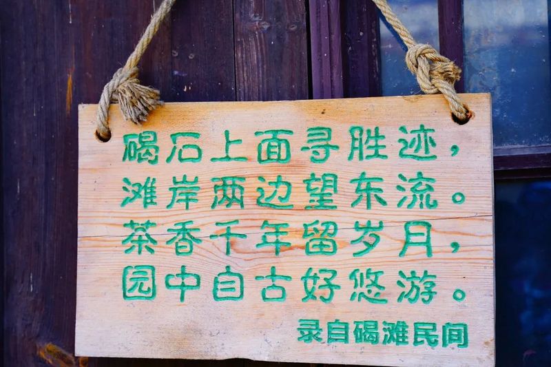 关于沅陵碣滩茶品牌专场推介会·相约2023北京国际茶业展的资讯(4)