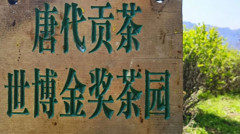 关于沅陵碣滩茶品牌专场推介会·相约2023北京国际茶业展的资讯(5)