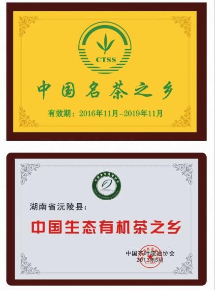 关于沅陵碣滩茶品牌专场推介会·相约2023北京国际茶业展的资讯(16)