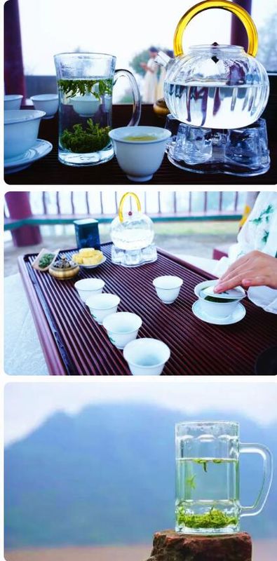 关于沅陵碣滩茶品牌专场推介会·相约2023北京国际茶业展的资讯(14)