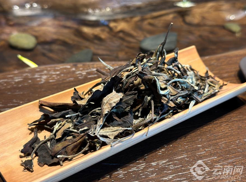 关于创新高原白茶为云茶产业提质的资讯(5)