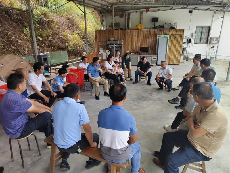 关于番禺驻镇工作队组织茶农赴潮州凤凰镇调研茶产业的相关内容