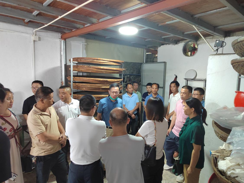 关于番禺驻镇工作队组织茶农赴潮州凤凰镇调研茶产业的相关内容(1)