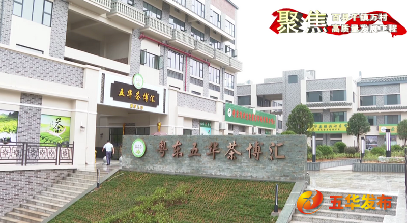 关于五华：强质量 优品牌 扩规模 赋能茶产业高质量发展的信息(6)