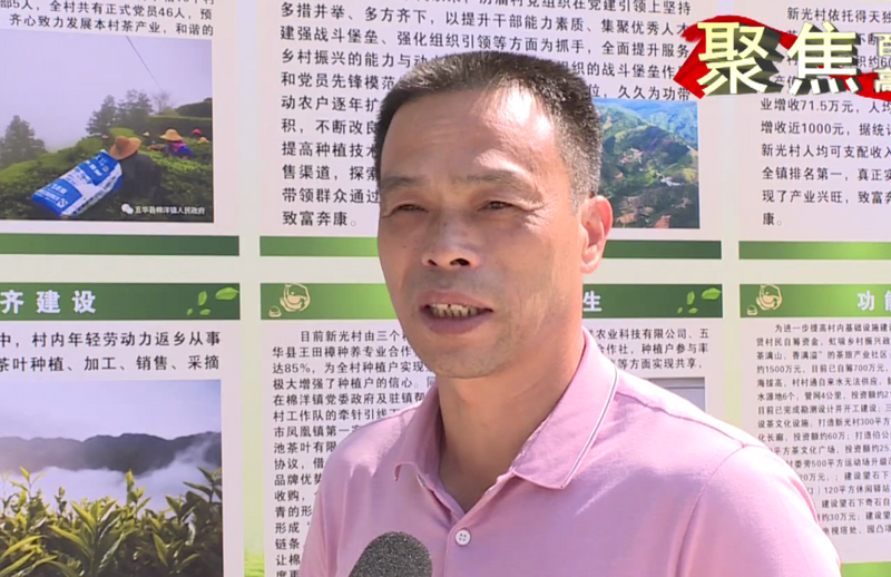 关于五华：强质量 优品牌 扩规模 赋能茶产业高质量发展的信息(3)