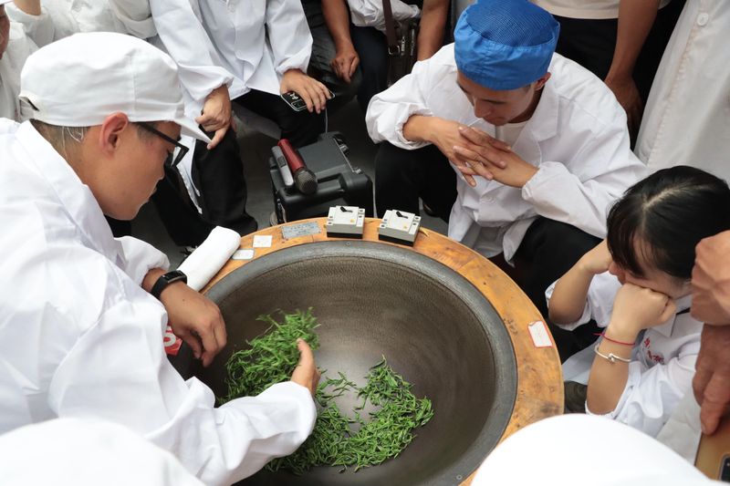 有关于雷山茶叶加工专项培训班走进车间 手把手传授高品质绿茶加工诀窍的新闻(6)