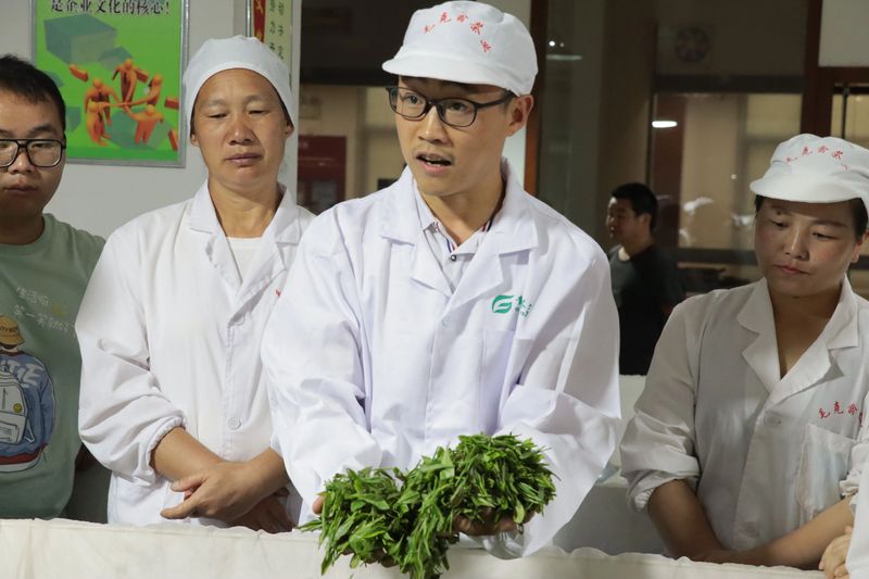 有关于雷山茶叶加工专项培训班走进车间 手把手传授高品质绿茶加工诀窍的新闻(4)