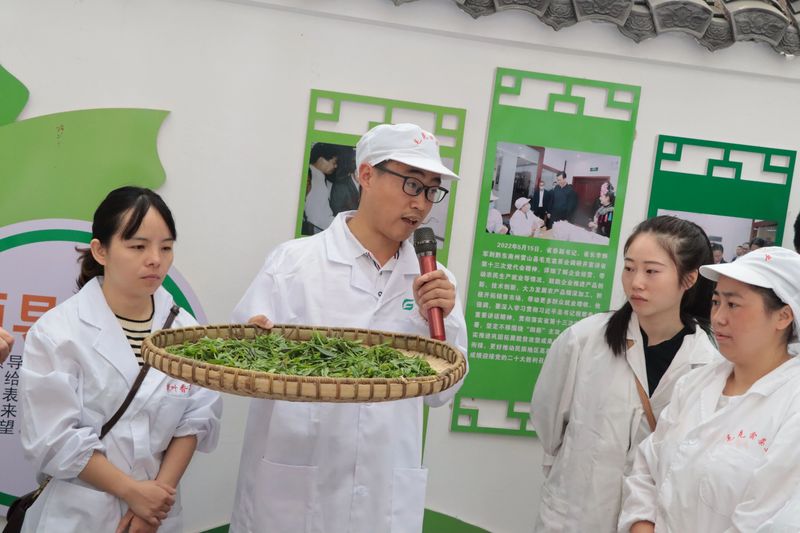 有关于雷山茶叶加工专项培训班走进车间 手把手传授高品质绿茶加工诀窍的新闻(1)