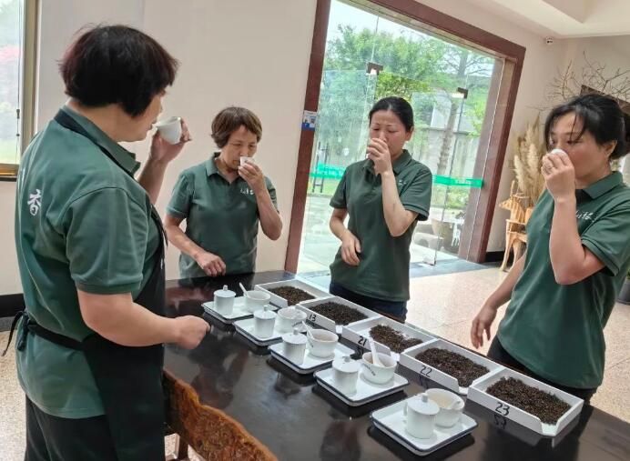 有关于以茶为媒 共促发展 九清农业助力共富进行时的信息(1)