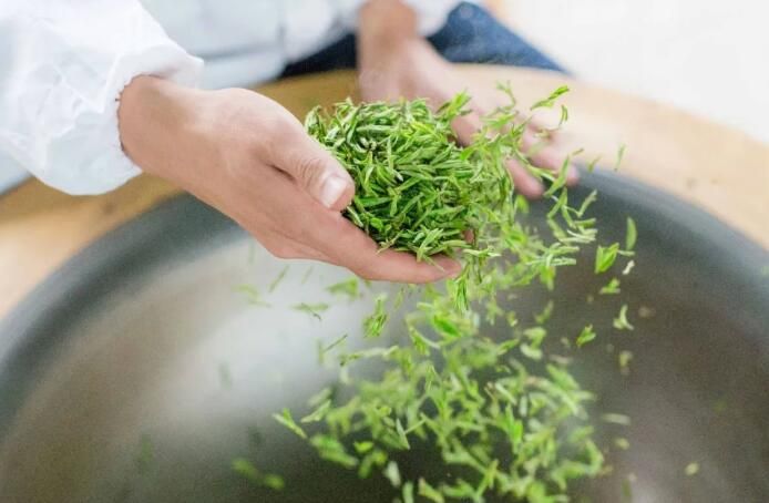 有关于以茶为媒 共促发展 九清农业助力共富进行时的信息