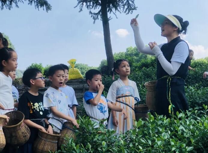 有关于以茶为媒 共促发展 九清农业助力共富进行时的信息(4)