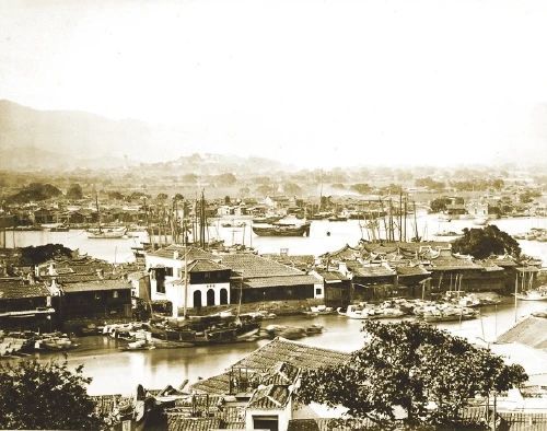 有关于世界海洋日，千年闽茶出海忙的信息(10)