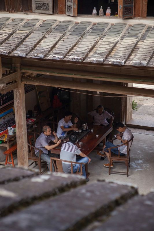 有关于世界海洋日，千年闽茶出海忙的信息(4)