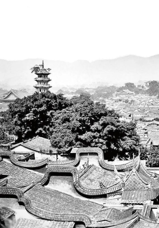 有关于世界海洋日，千年闽茶出海忙的信息(13)