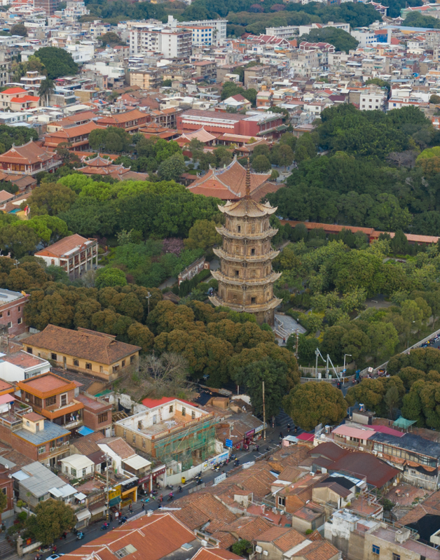 有关于世界海洋日，千年闽茶出海忙的信息(6)
