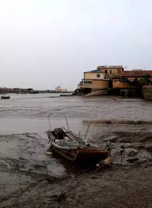 有关于世界海洋日，千年闽茶出海忙的信息(11)