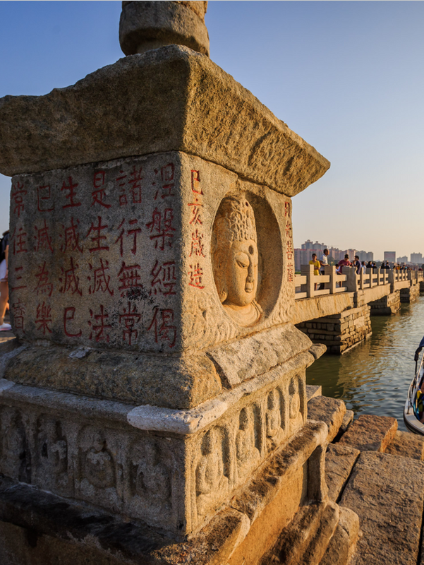 有关于世界海洋日，千年闽茶出海忙的信息(1)