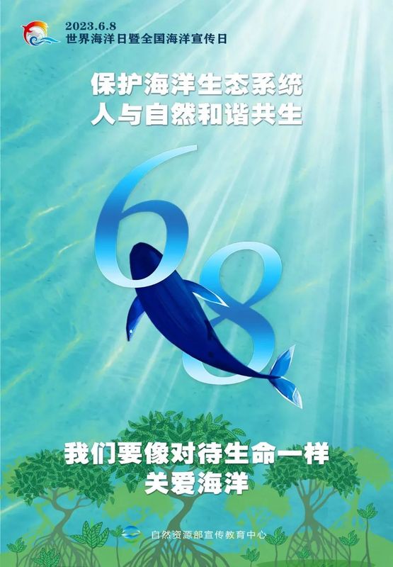 有关于世界海洋日，千年闽茶出海忙的信息