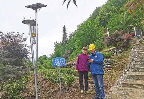 关于四川省青川县 一片茶园“智”富一方乡亲的信息