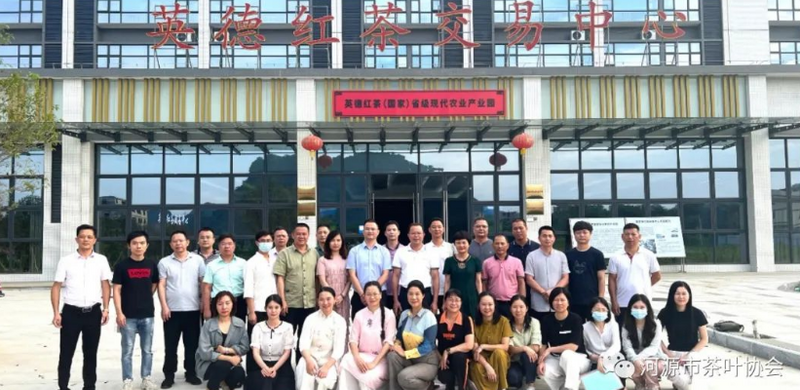 有关于河源市组织茶产业人才赴英德市交流学习，做优做强河源茶产业的相关信息(1)