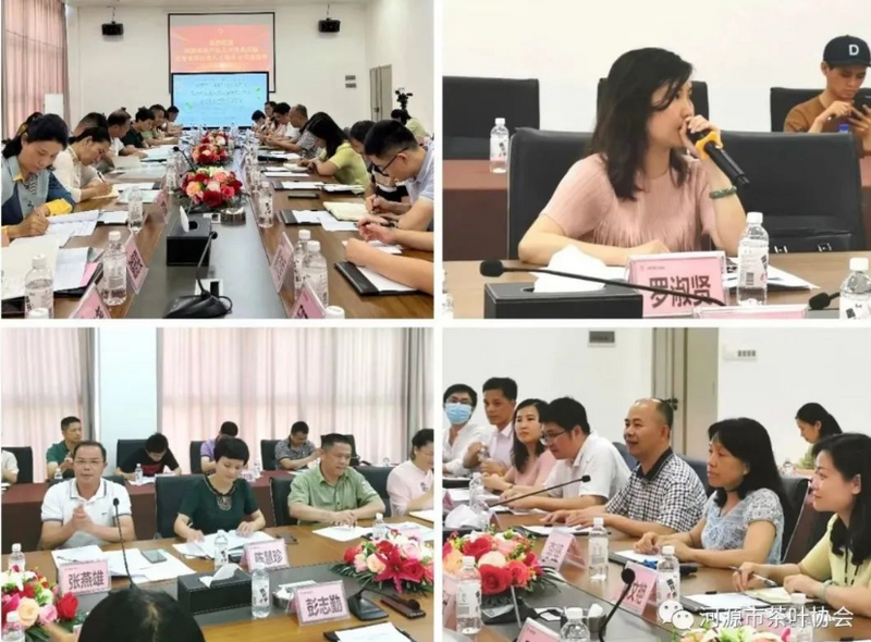 有关于河源市组织茶产业人才赴英德市交流学习，做优做强河源茶产业的相关信息(3)
