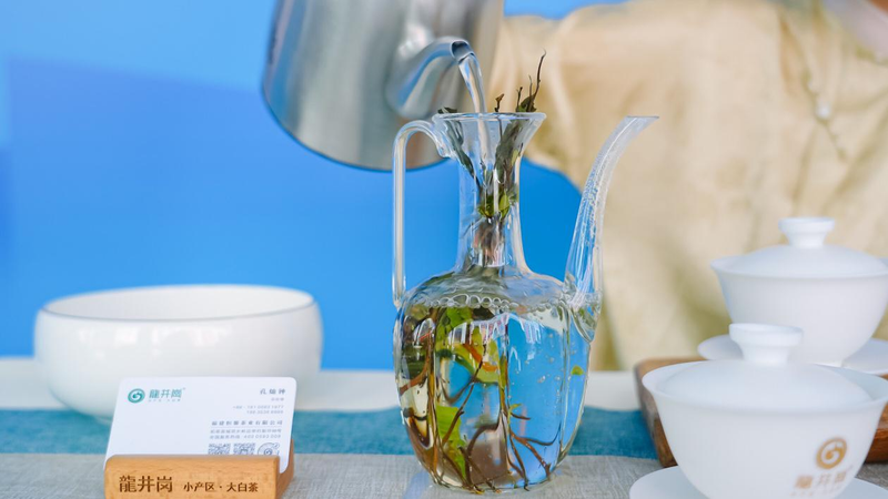 有关于2023 北京马连道国际茶文化展柘荣高山白茶展示推介活动隆重启幕的资讯(7)