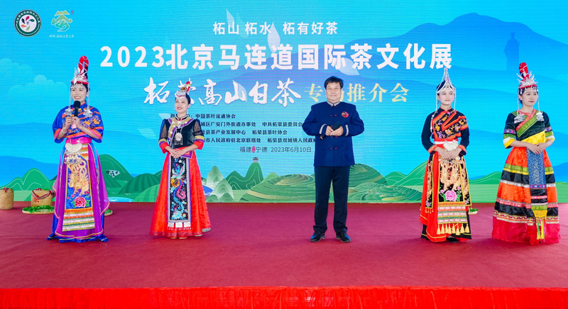 有关于2023 北京马连道国际茶文化展柘荣高山白茶展示推介活动隆重启幕的资讯