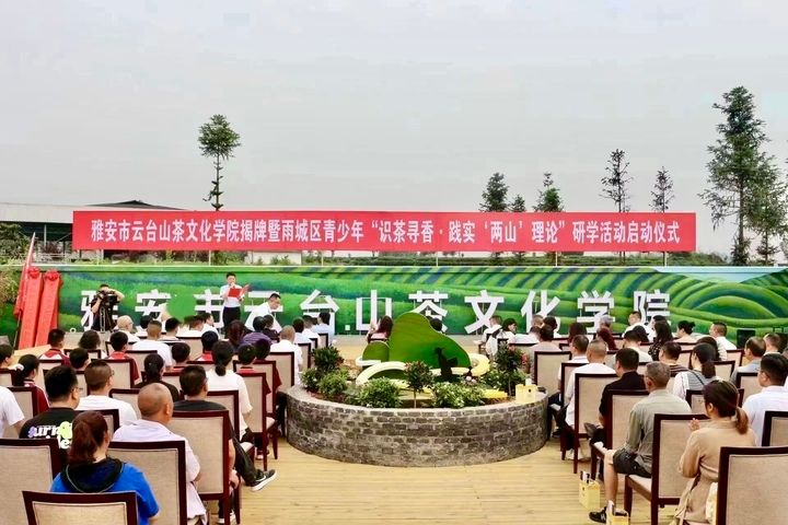 有关于传承弘扬雅茶文化 做好茶文旅融合发展文章的相关信息