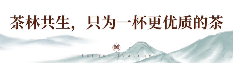 有关于泰美好茶的秘密,都藏在这片生态茶园里的相关信息(2)